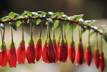 惠州惠东4私人快速借钱网，轻松解决资金难题
