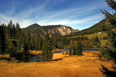 惠州惠东4民间私贷攻略：揭秘低成本借贷的秘密