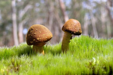 惠州惠东4私人老板放款：轻松融资的秘密通道